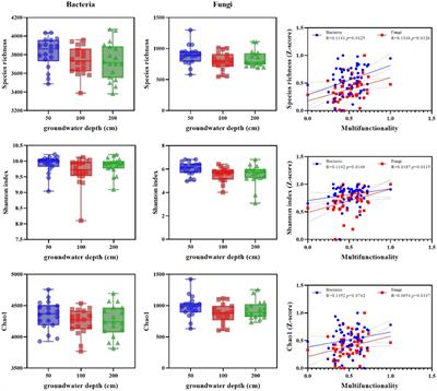Impact of altered groundwater depth on soil microbial diversity, network complexity and multifunctionality